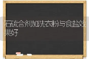 石硫合剂加洗衣粉与食盐效果好