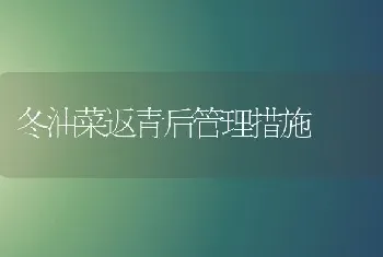 冬油菜返青后管理措施