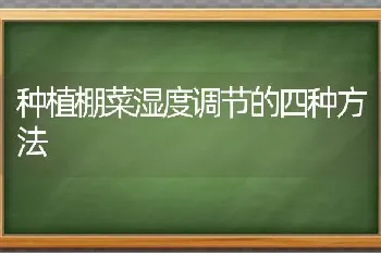 种植棚菜湿度调节的四种方法