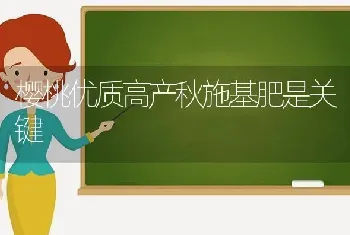 樱桃优质高产秋施基肥是关键