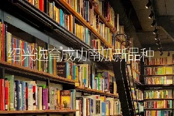 绍兴选育成功南瓜新品种