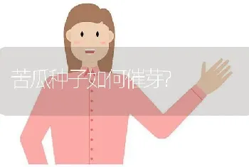 苦瓜种子如何催芽?