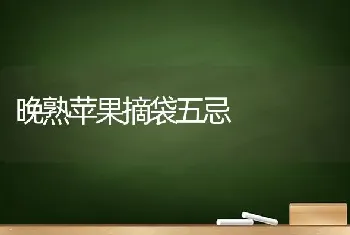 晚熟苹果摘袋五忌