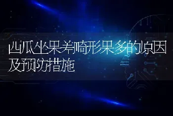 西瓜坐果差畸形果多的原因及预防措施