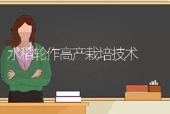 水稻轮作高产栽培技术