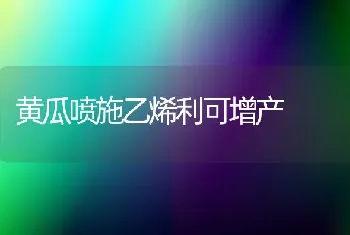 黄瓜喷施乙烯利可增产