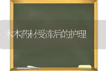 木本药材受冻后的护理