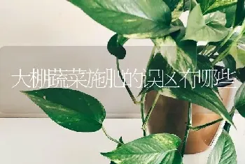 大棚蔬菜施肥的误区有哪些