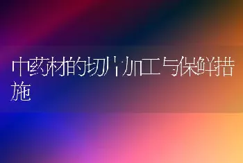 中药材的切片加工与保鲜措施