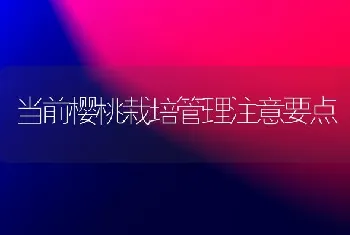 当前樱桃栽培管理注意要点