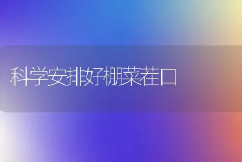 科学安排好棚菜茬口