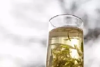 紫阳茶属于什么茶?