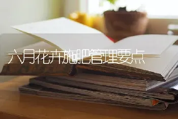 六月花卉施肥管理要点