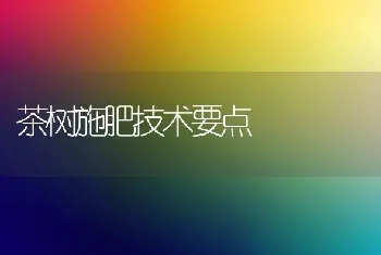 茶树施肥技术要点