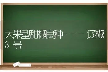 大果型甜椒良种---辽椒3号