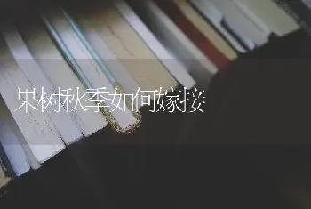 果树秋季如何嫁接