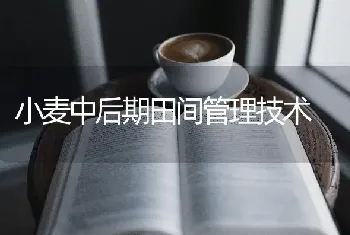 小麦中后期田间管理技术