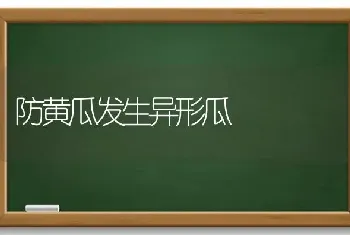 防黄瓜发生异形瓜