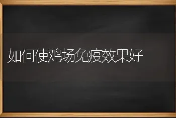 如何使鸡场免疫效果好