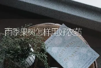 雨季果树怎样用好农药