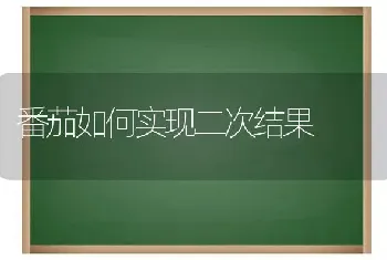 番茄如何实现二次结果