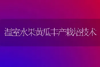 温室水果黄瓜丰产栽培技术