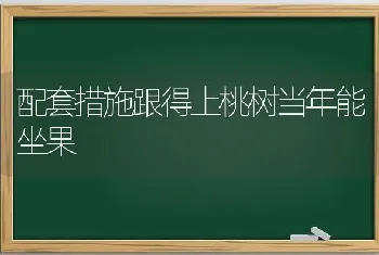 配套措施跟得上桃树当年能坐果