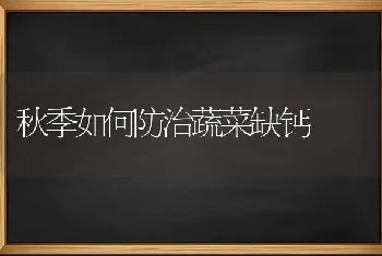 茄子的需肥特点是什么?