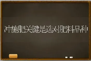 冲施肥关键是选对肥料品种