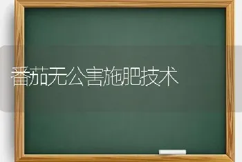 番茄无公害施肥技术