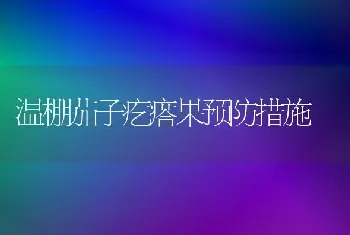 温棚茄子疙瘩果预防措施