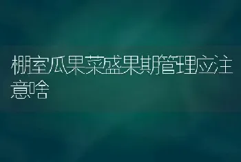 棚室瓜果菜盛果期管理应注意啥