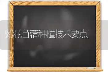 紫花苜蓿种植技术要点