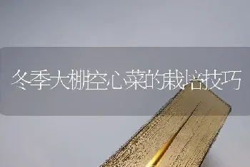 冬季大棚空心菜的栽培技巧