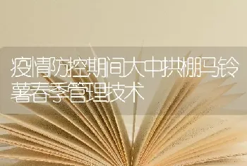 疫情防控期间大中拱棚马铃薯春季管理技术