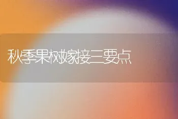 秋季果树嫁接三要点