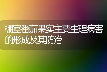 棚室番茄果实主要生理病害的形成及其防治