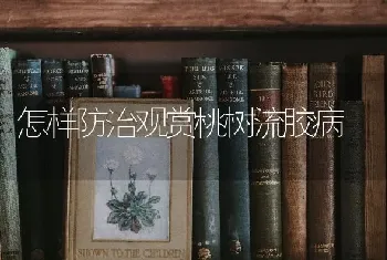 怎样防治观赏桃树流胶病