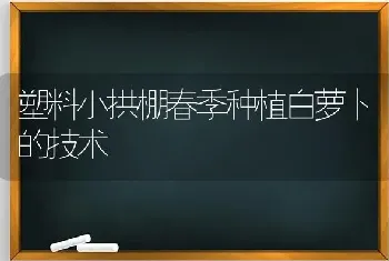 塑料小拱棚春季种植白萝卜的技术