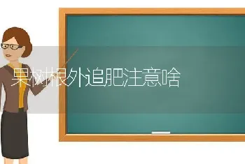 果树根外追肥注意啥