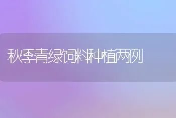 秋季青绿饲料种植两例