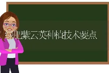 绿肥紫云英种植技术要点