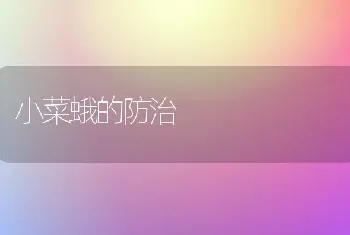 小菜蛾的防治