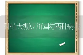 种植大棚豆角谨防两种病害