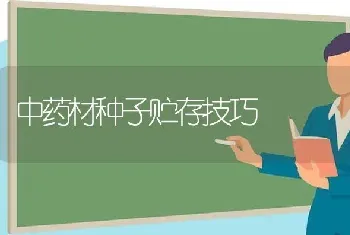 中药材种子贮存技巧