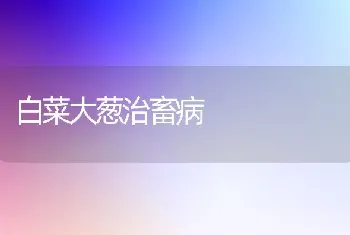 白菜大葱治畜病