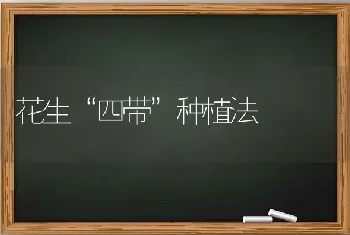 花生“四带”种植法