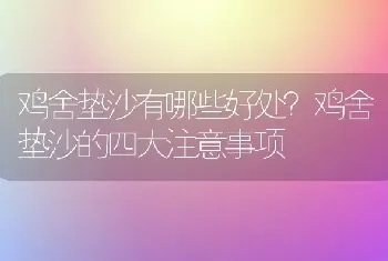 小麦赤霉病、白粉病防治有新招