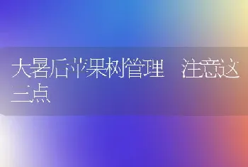 大暑后苹果树管理 注意这三点