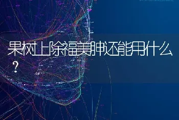 果树上除福美胂还能用什么?